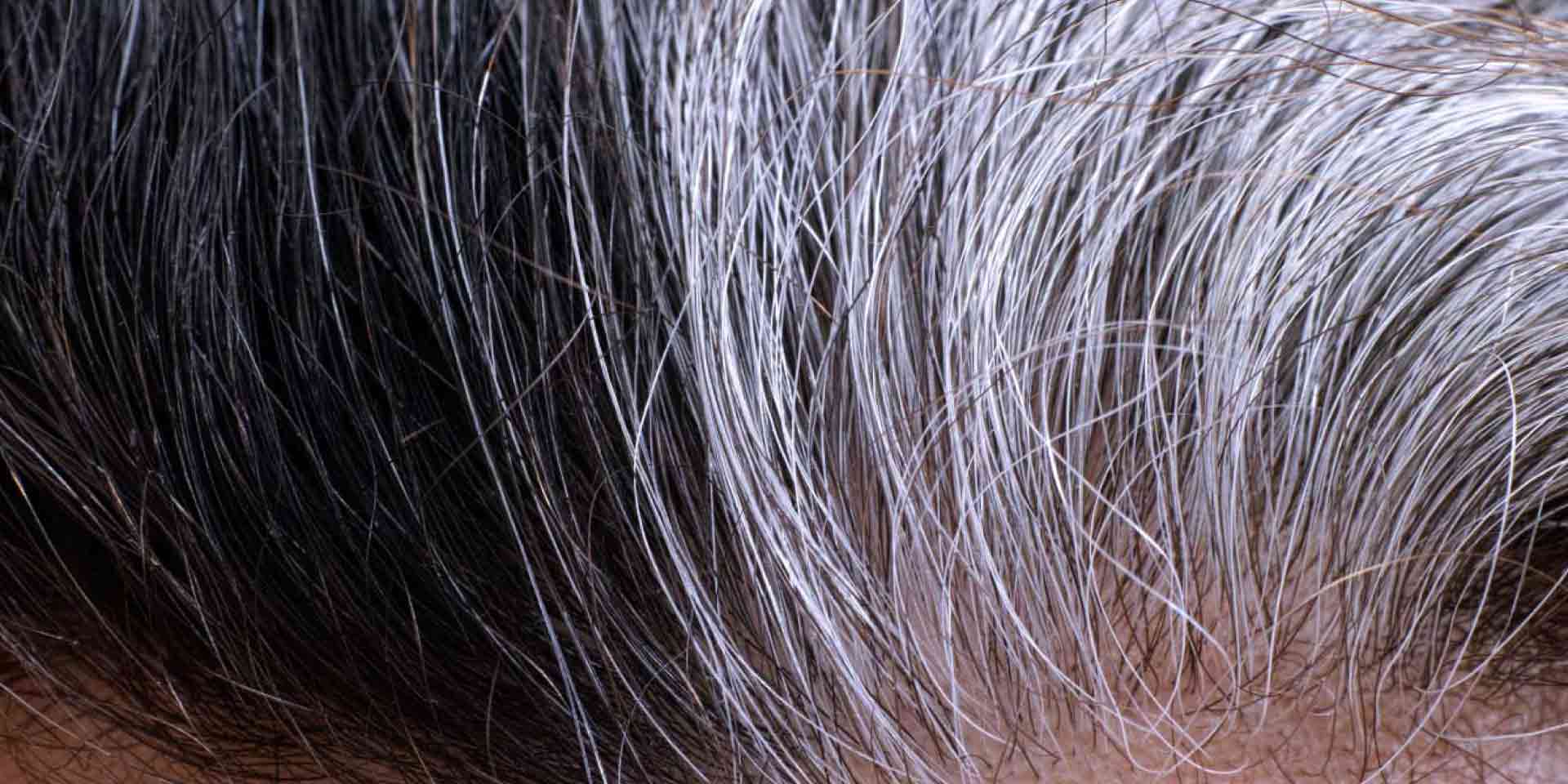grey percentage hair
