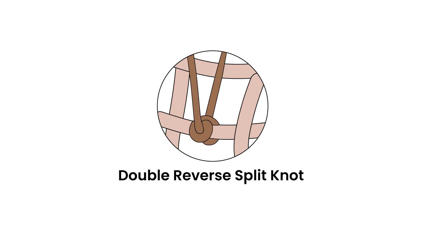 Double Reverse Split Knot