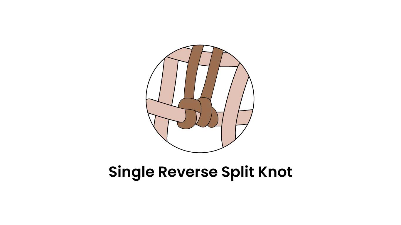 Single Reverse Split Knot