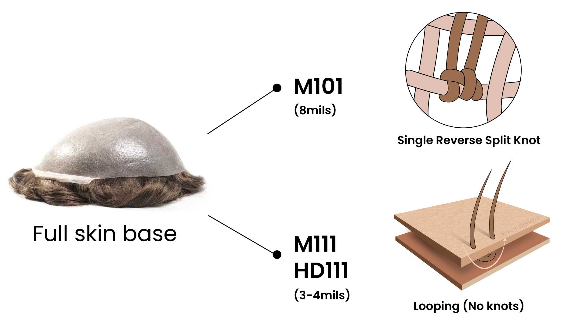 The Difference in Thickness of Our Skin Bases