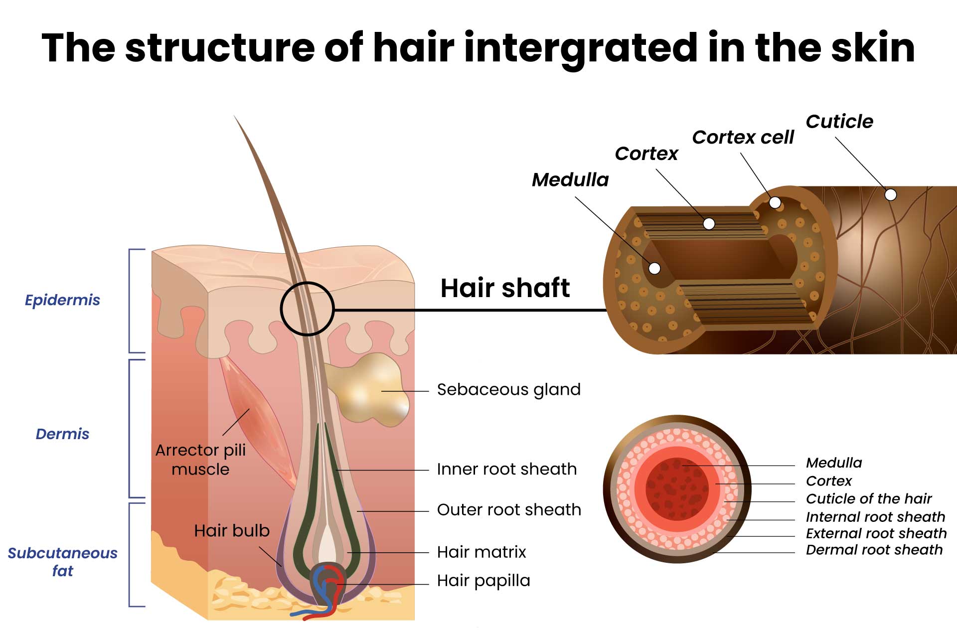 Silicone in hair products