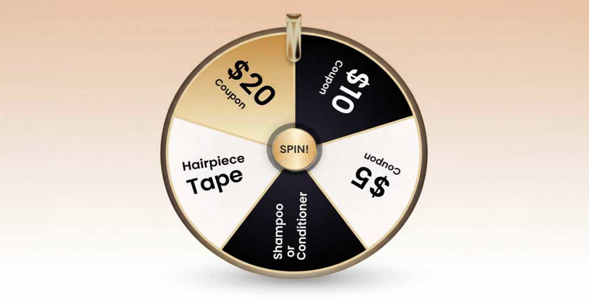 spinning wheel for discounts