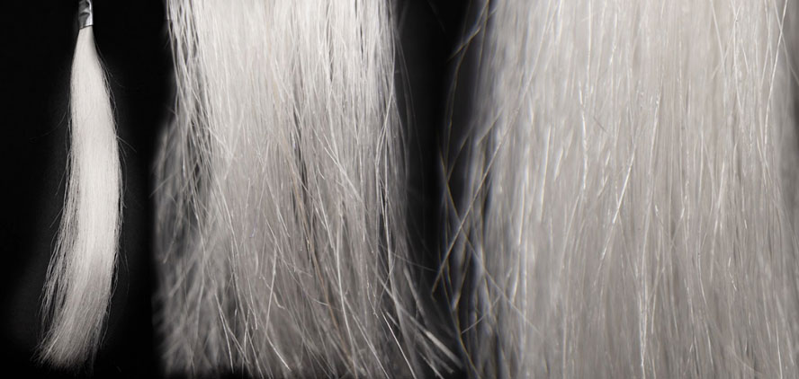 Human grey hair