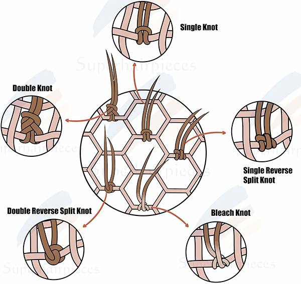 Comparison of Different Knots